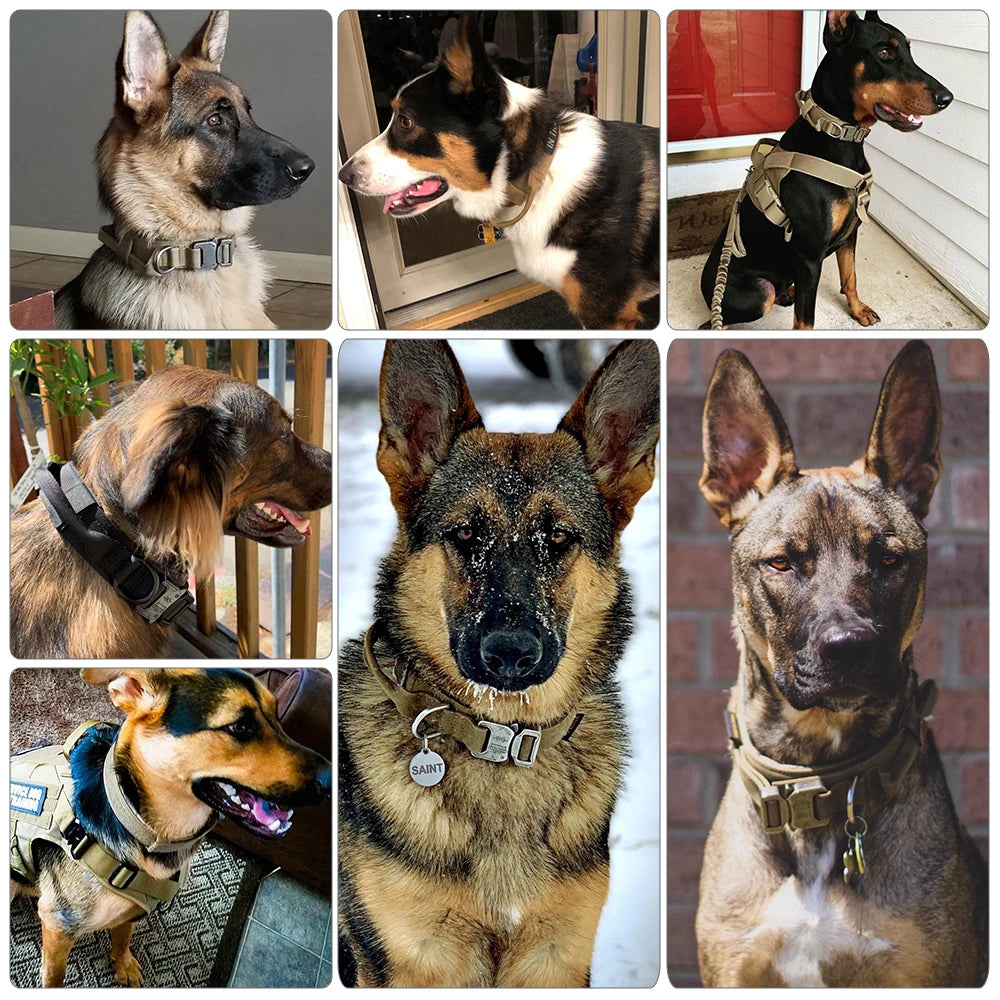 Dog Training Adjustable Tactical Collar And Leash Set