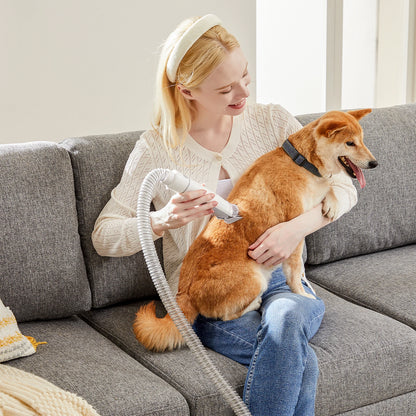 2.5L Professional Pet Grooming Vacuum Kit 3 Suction Modes and 5 Groomer Tools with Cordless Low Noise