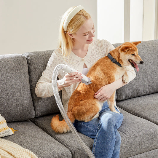 2.5L Professional Pet Grooming Vacuum Kit 3 Suction Modes and 5 Groomer Tools with Cordless Low Noise