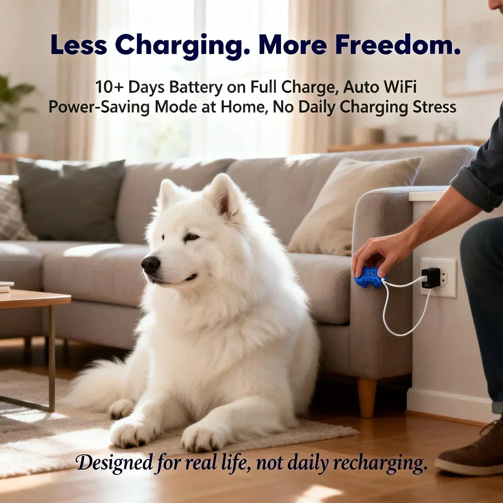 GPS Pet Tracker for Dogs Cats  WiFi Tracking Unlimited Distance QR Code Anti-Lost Locator