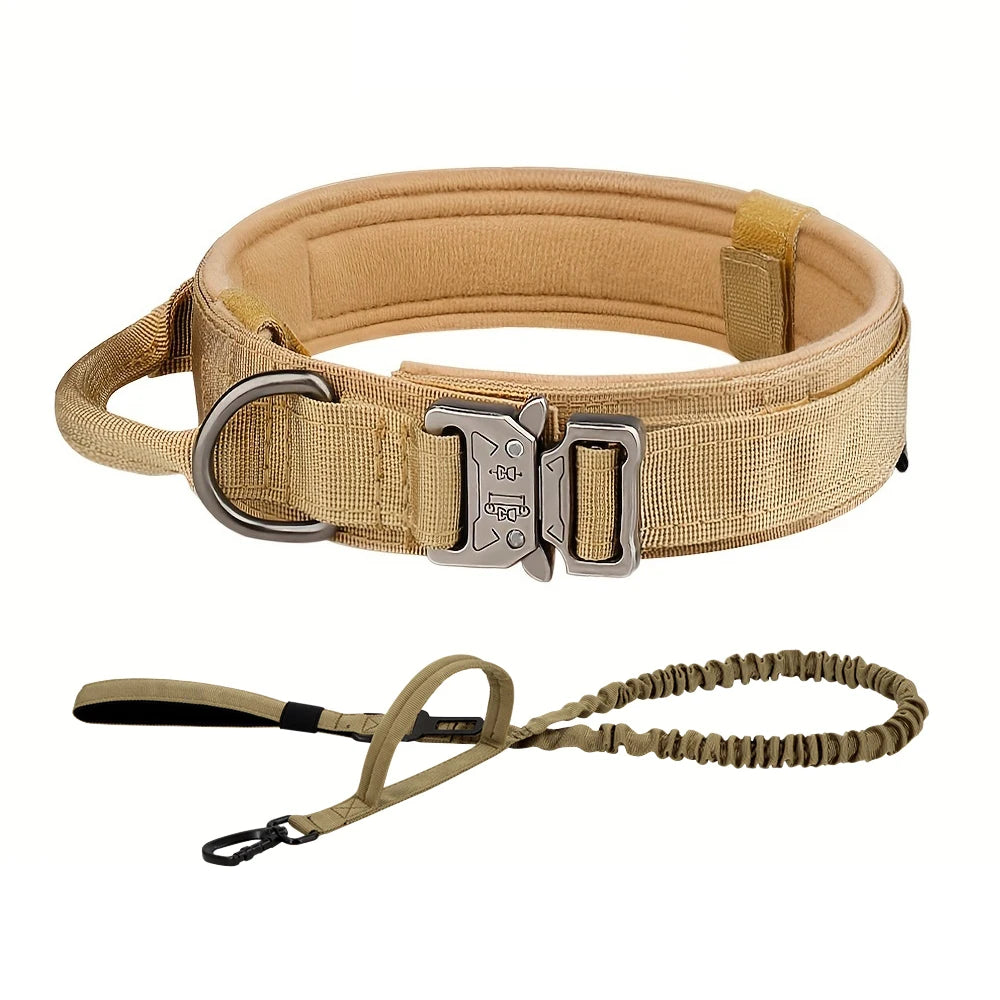 Dog Training Adjustable Tactical Collar And Leash Set