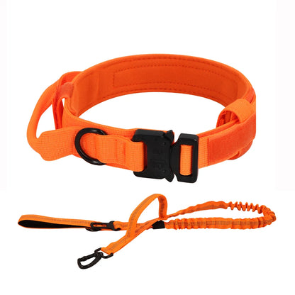 Dog Training Adjustable Tactical Collar And Leash Set