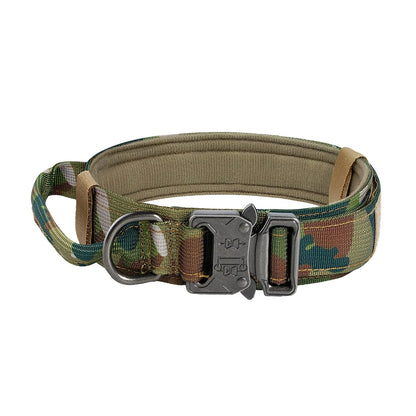 Dog Training Adjustable Tactical Collar And Leash Set