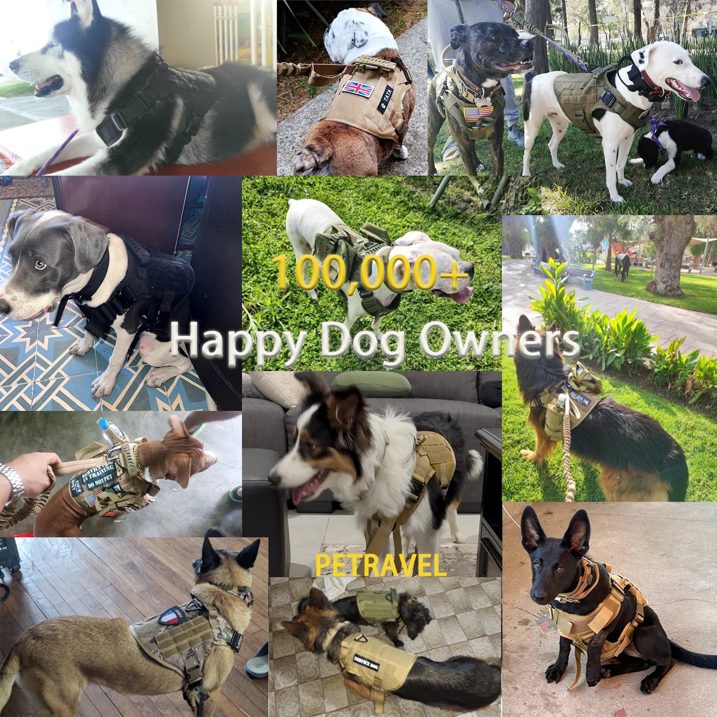 Tactical Dog Harness Collar For Medium Large Dogs