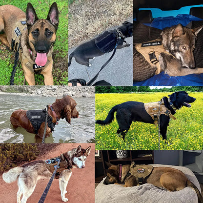 Dog Harness And Leash Set  For Medium Large Dogs